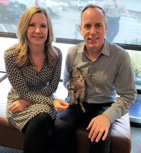 BrennerHill Kitten Shelter Adopt Rescue